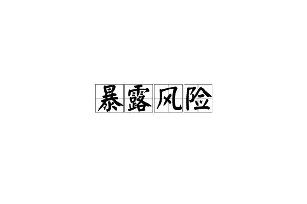 暴露風險 暴露風險