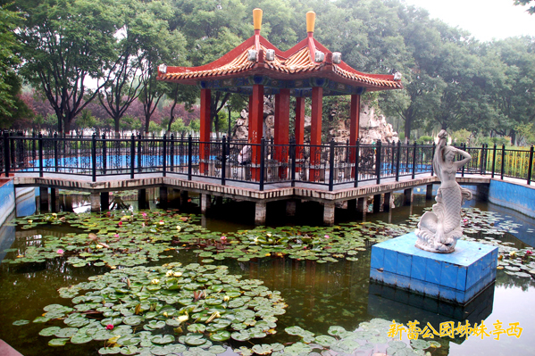 新蕾公園 新蕾公園