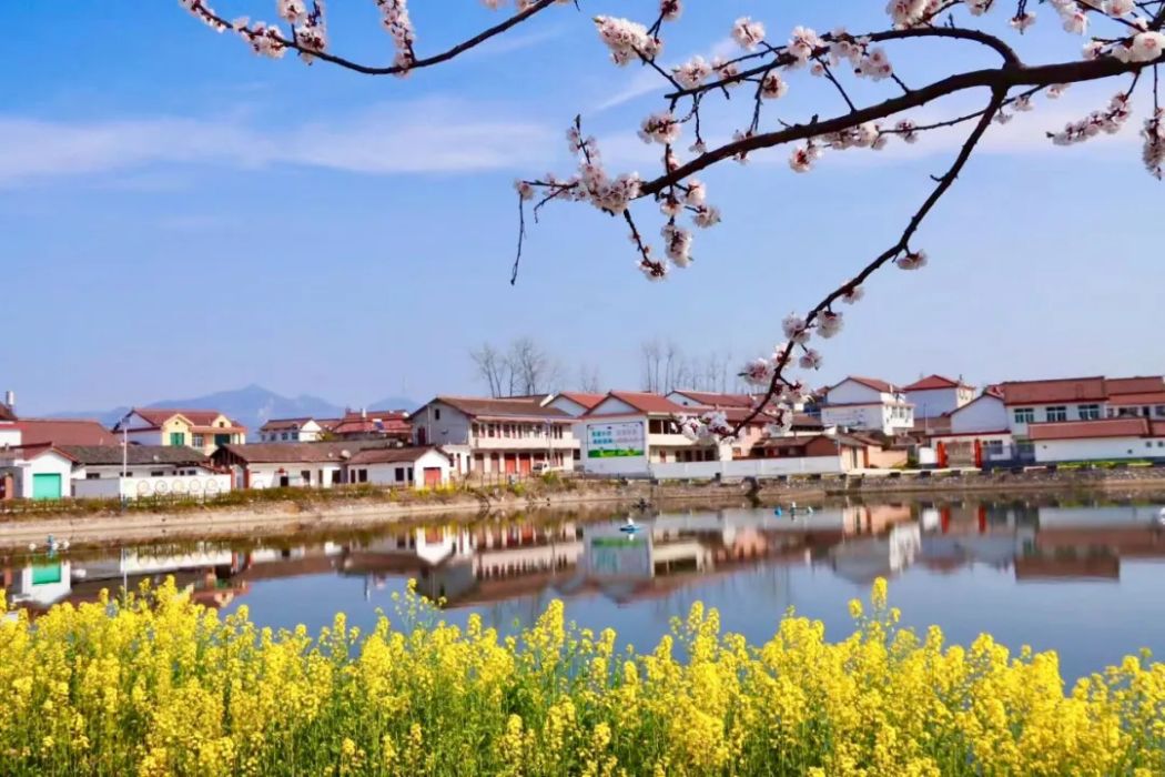 毛家嶺村(陝西省漢中市城固縣文川鎮下轄村) 毛家嶺村(陝西省漢中市城固縣文川鎮下轄村)