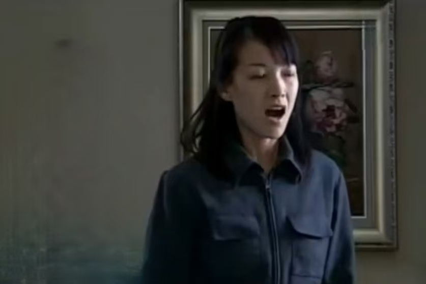 陳淑蘭(家庭倫理劇《貧富人生》中的角色) 陳淑蘭(家庭倫理劇《貧富人生》中的角色)