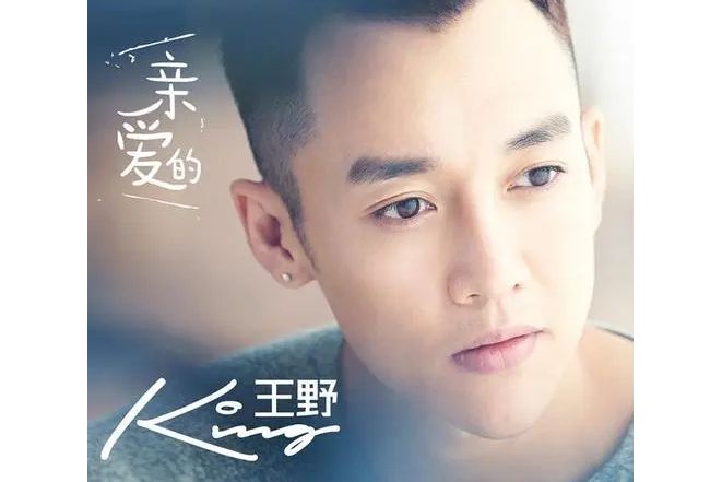 親愛的(王野演唱歌曲) 親愛的(王野演唱歌曲)