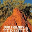 Our Friends the Termites Our Friends the Termites