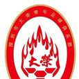 深圳市大榮青年足球俱樂部