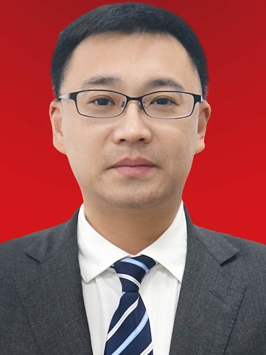 張鵬(上海市人大代表與國企負責人)