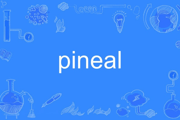 pineal pineal