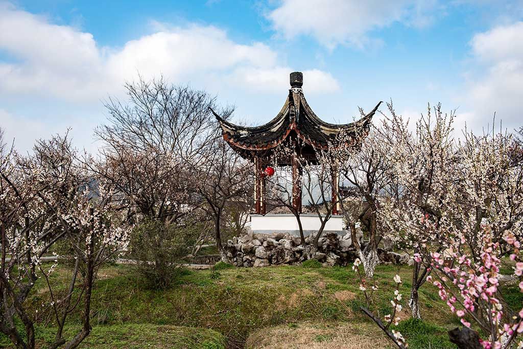 蘇州梅園 蘇州梅園