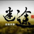 迷途(2010年白浪導演大陸電影) 迷途(2010年白浪導演大陸電影)