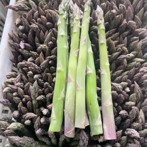 蘆筍(龍鬚菜（蘆筍的別名）)