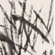 蟹草 蟹草