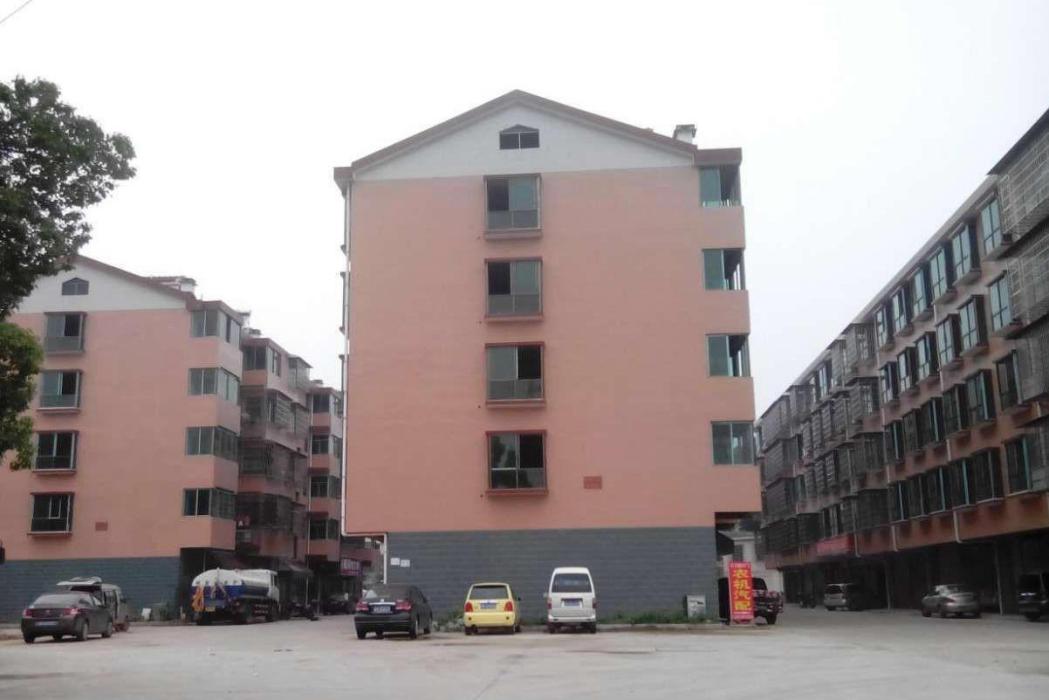 中嶺小區 中嶺小區