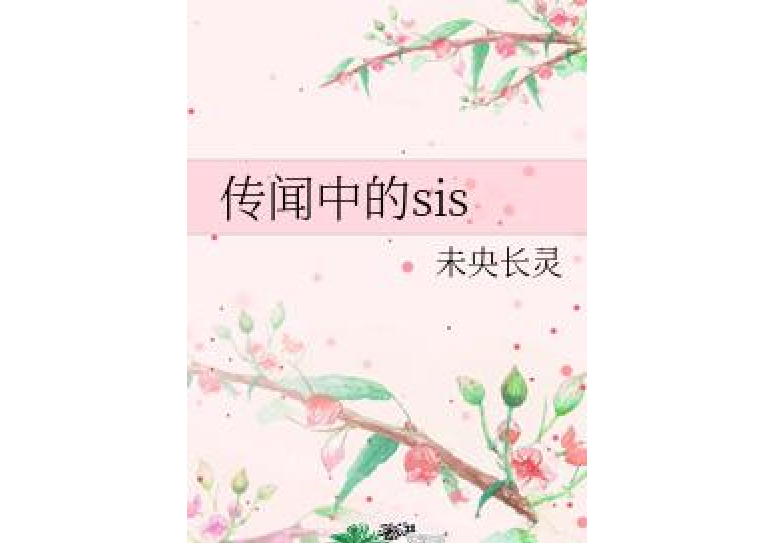 傳聞中的sis 傳聞中的sis