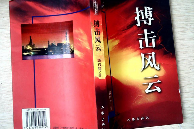 搏擊風雲 搏擊風雲