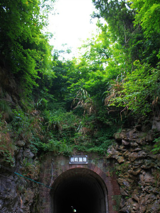 桐嶺仙境 桐嶺仙境
