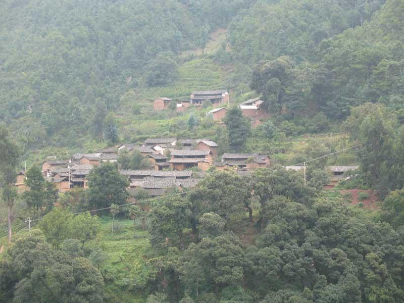 枊林鋪村 枊林鋪村
