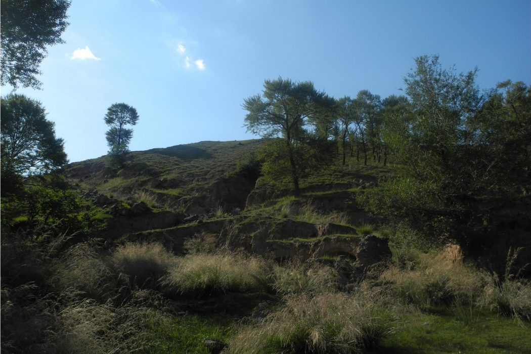 跑馬山(山西省右玉縣陰山山脈南支) 跑馬山(山西省右玉縣陰山山脈南支)