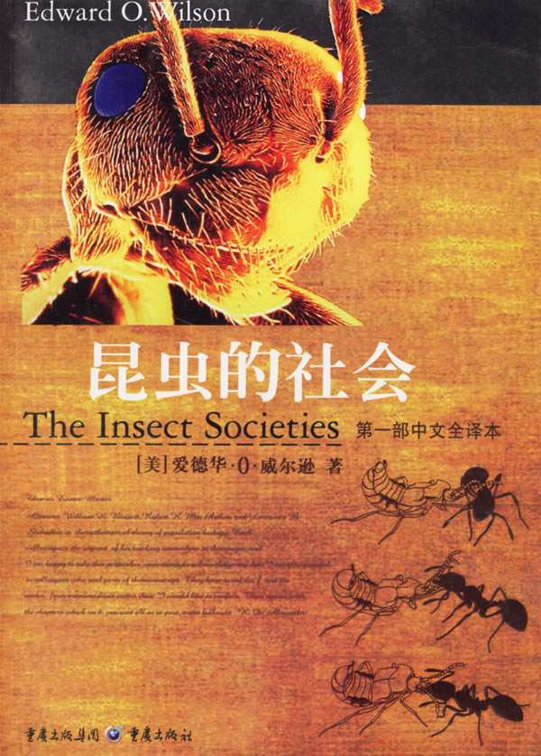 昆蟲社會