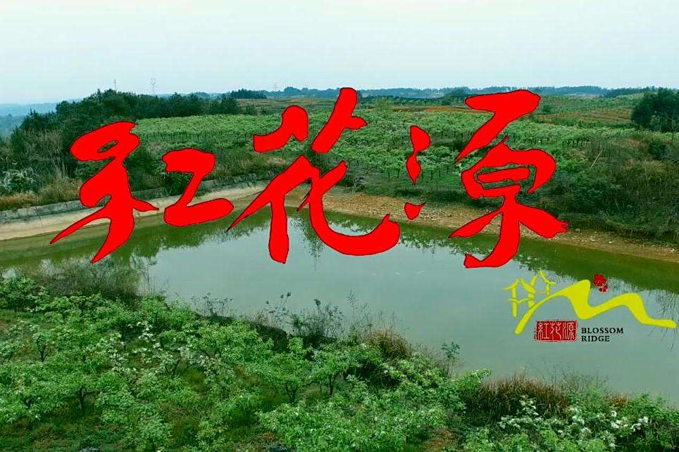 紅花源 紅花源