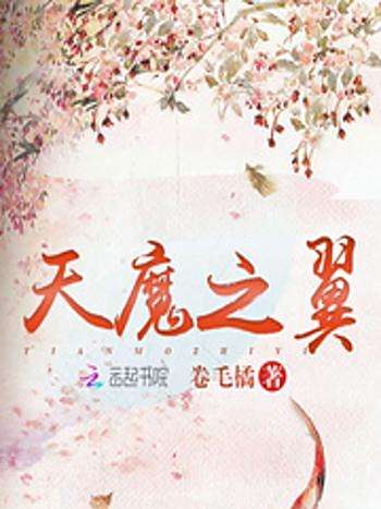 天魔之翼 天魔之翼