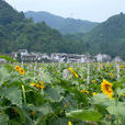 江邊村(貴州省威寧縣海拉鄉下轄村)