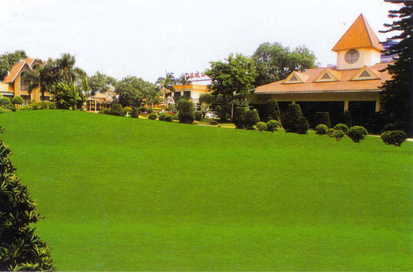 草暖公園 草暖公園