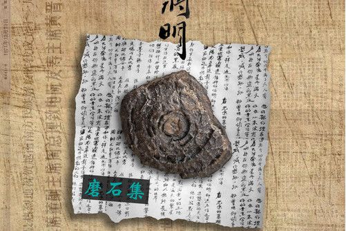 遺忘之詩(蔣明演唱的歌曲) 遺忘之詩(蔣明演唱的歌曲)