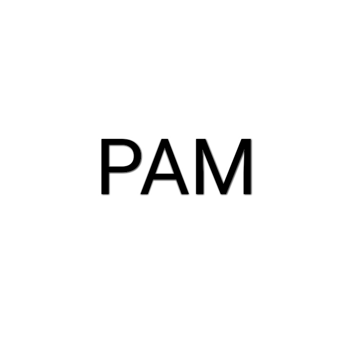 PAM(脈衝振幅調製)