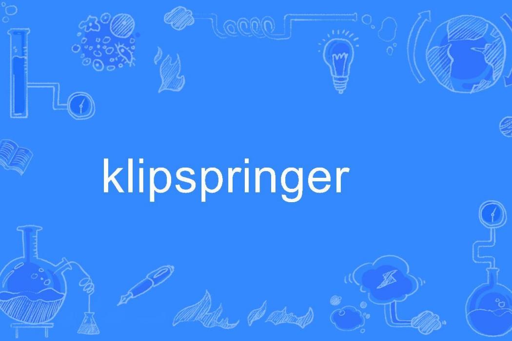 klipspringer klipspringer