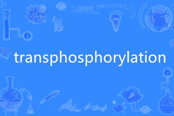 transphosphorylation transphosphorylation