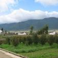 梅子園村(湖南省永州市道縣下轄村) 梅子園村(湖南省永州市道縣下轄村)