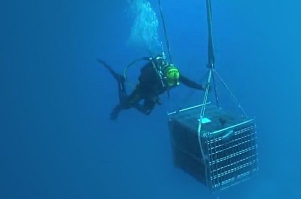 海底藏酒 海底藏酒