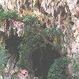 燕子洞村 燕子洞村