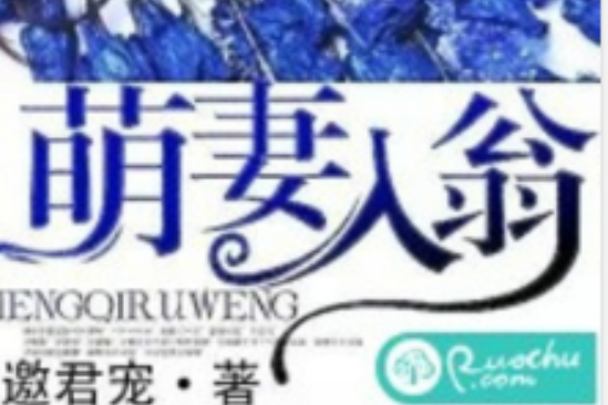 萌妻入翁 萌妻入翁