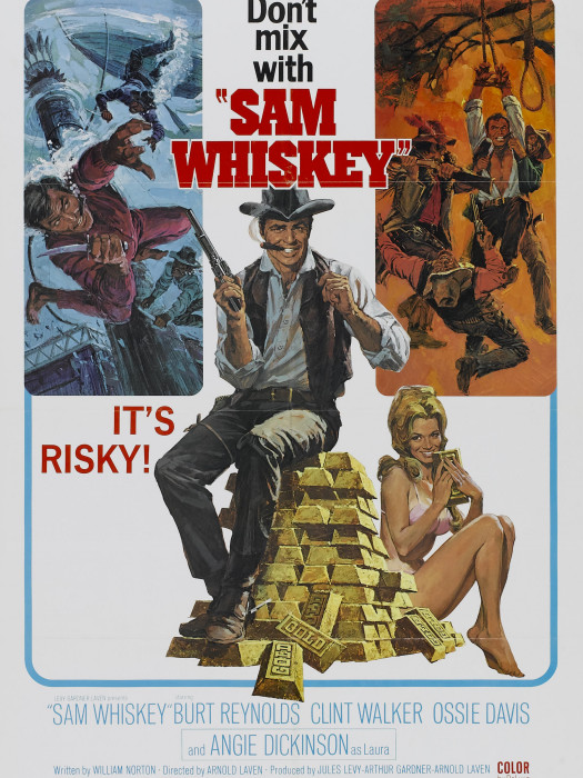 奇謀妙計三金剛(Sam Whiskey) 奇謀妙計三金剛(Sam Whiskey)
