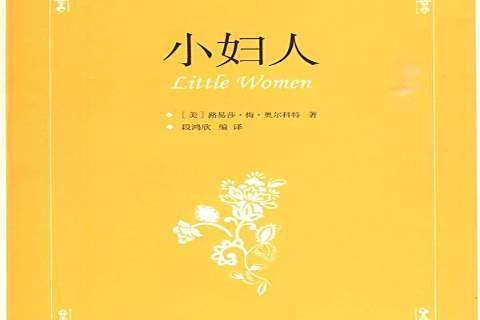 小婦人(2009年中國國際廣播出版社出版的圖書)