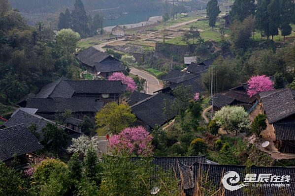 司城村(湖南永順縣靈溪鎮下轄的土司文化村落) 司城村(湖南永順縣靈溪鎮下轄的土司文化村落)