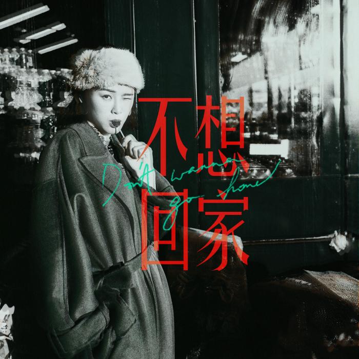 不想回家(陳蕾演唱歌曲) 不想回家(陳蕾演唱歌曲)