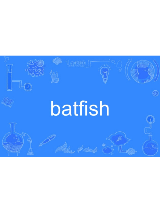 batfish batfish