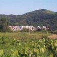 宜林村 宜林村