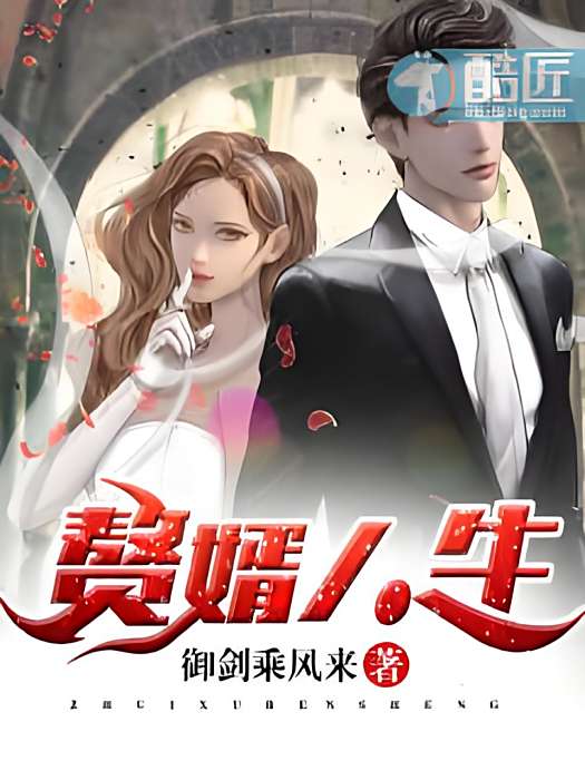 贅婿人生 贅婿人生