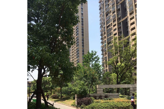平治北苑 平治北苑