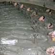 湯湖熱礦泥 湯湖熱礦泥