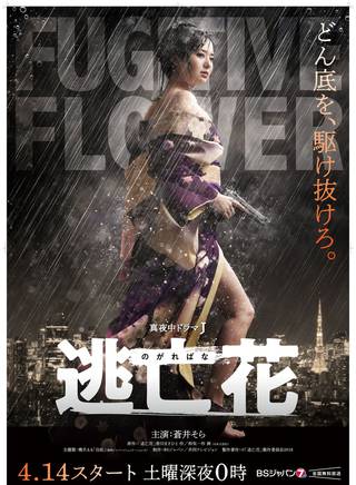 蒼井空(Sora Aoi) 蒼井空(Sora Aoi)