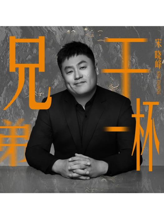 兄弟乾一杯(宋曉峰演唱的歌曲) 兄弟乾一杯(宋曉峰演唱的歌曲)