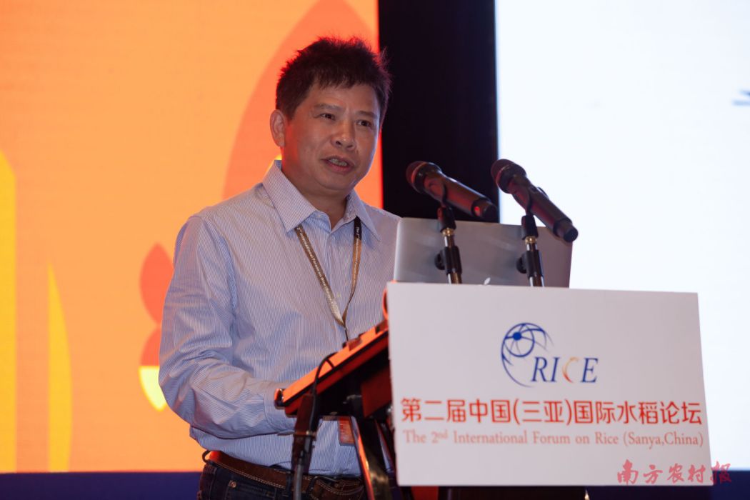 李新奇(湖南雜交水稻研究中心研究員)