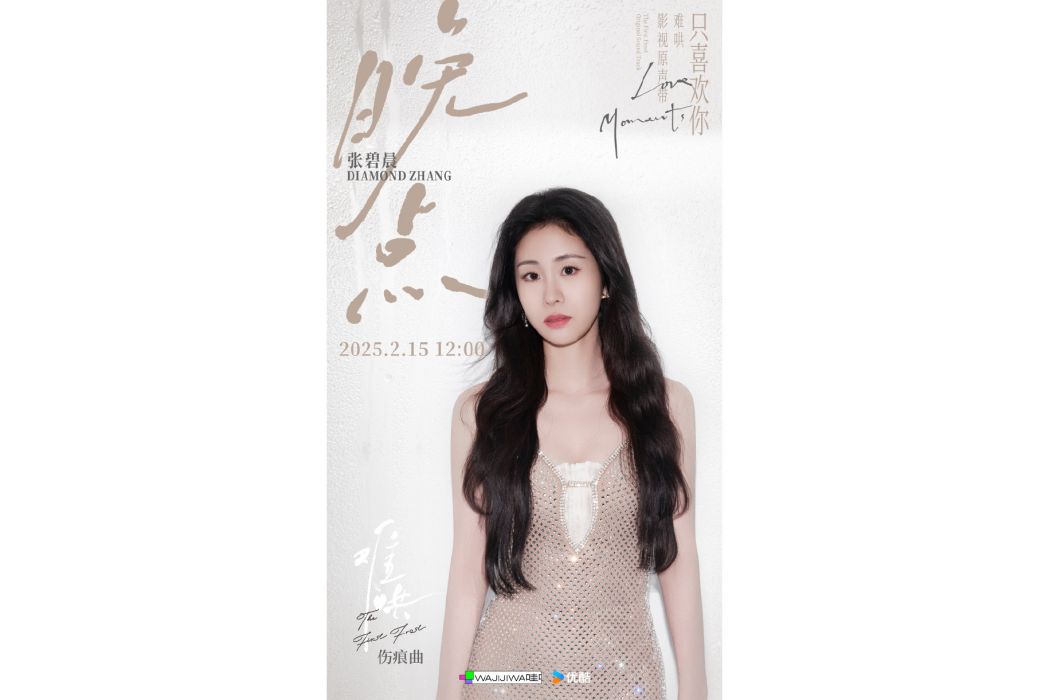 晚點(張碧晨演唱的歌曲)