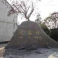 新塔村(湖北黃陂區三里鎮下轄村) 新塔村(湖北黃陂區三里鎮下轄村)