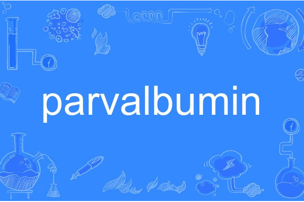 parvalbumin parvalbumin
