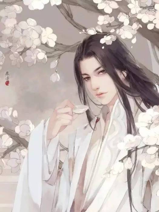 桐木古琴 桐木古琴