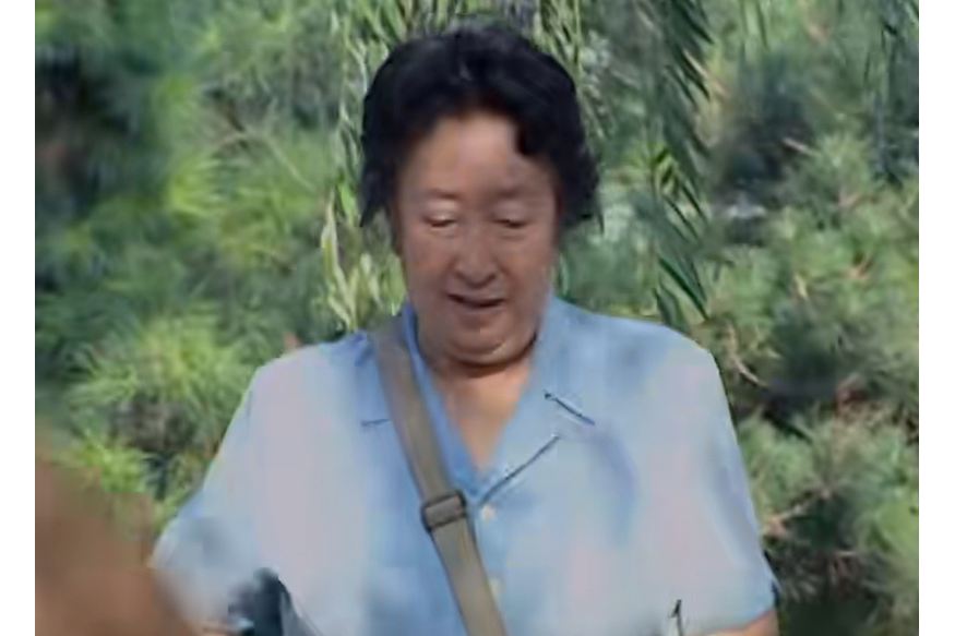 馮淑珍(軍旅劇《紅梅花開》中的角色)