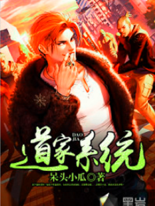 道家系統 道家系統